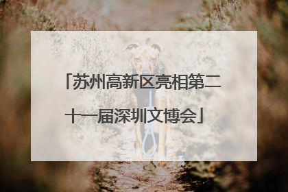 苏州高新区亮相第二十一届深圳文博会