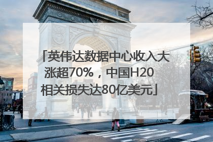 英伟达数据中心收入大涨超70%，中国H20相关损失达80亿美元