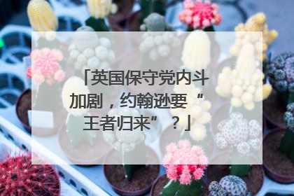 英国保守党内斗加剧，约翰逊要“王者归来”？