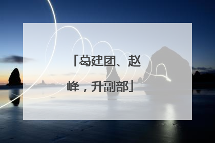 葛建团、赵峰，升副部