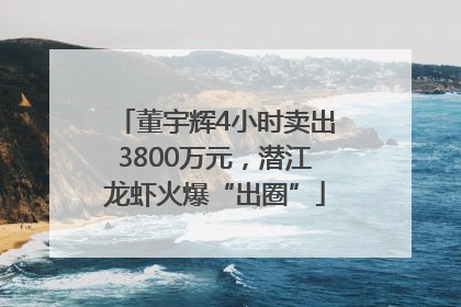 董宇辉4小时卖出3800万元，潜江龙虾火爆“出圈”