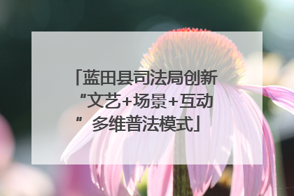蓝田县司法局创新“文艺+场景+互动”多维普法模式