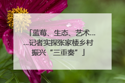 蓝莓、生态、艺术……记者实探张家楼乡村振兴“三重奏”