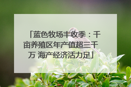 蓝色牧场丰收季：千亩养殖区年产值超三千万 海产经济活力足