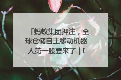 蚂蚁集团押注，全球仓储自主移动机器人第一股要来了｜IPO直通车