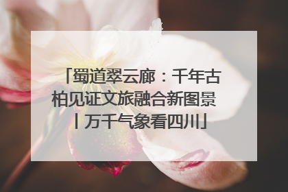 蜀道翠云廊：千年古柏见证文旅融合新图景丨万千气象看四川