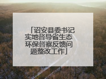 诏安县委书记实地督导省生态环保督察反馈问题整改工作