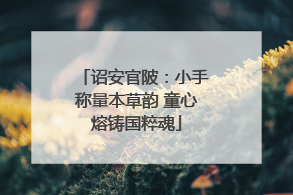 诏安官陂：小手称量本草韵 童心熔铸国粹魂