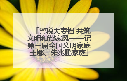 警税夫妻档 共筑文明和谐家风——记第三届全国文明家庭王娜、朱兆鹏家庭