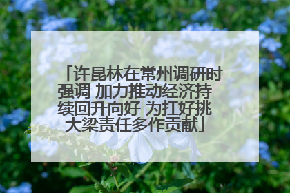 许昆林在常州调研时强调 加力推动经济持续回升向好 为扛好挑大梁责任多作贡献