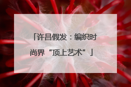 许昌假发：编织时尚界“顶上艺术”