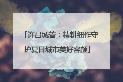 许昌城管：精耕细作守护夏日城市美好容颜