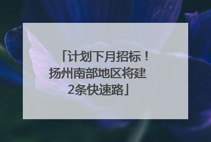 计划下月招标！扬州南部地区将建2条快速路