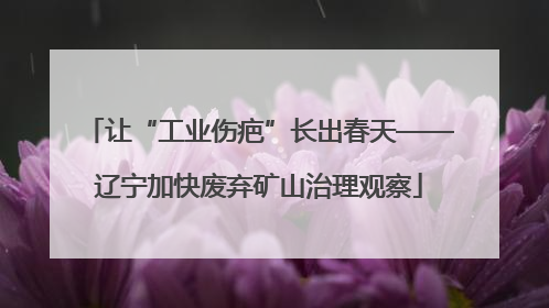 让“工业伤疤”长出春天——辽宁加快废弃矿山治理观察
