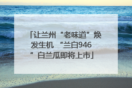 让兰州“老味道”焕发生机 “兰白946”白兰瓜即将上市