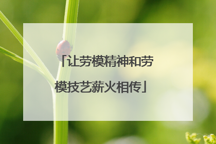 让劳模精神和劳模技艺薪火相传