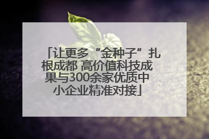 让更多“金种子”扎根成都 高价值科技成果与300余家优质中小企业精准对接