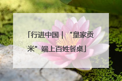 行进中国｜“皇家贡米”端上百姓餐桌