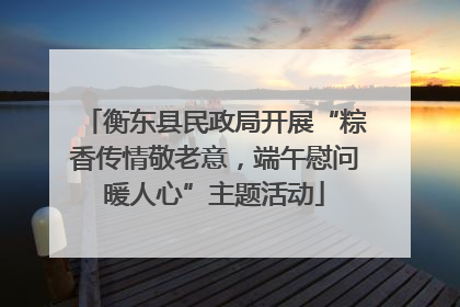 衡东县民政局开展“粽香传情敬老意，端午慰问暖人心”主题活动