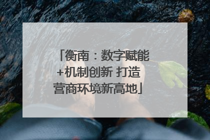 衡南：数字赋能+机制创新 打造营商环境新高地