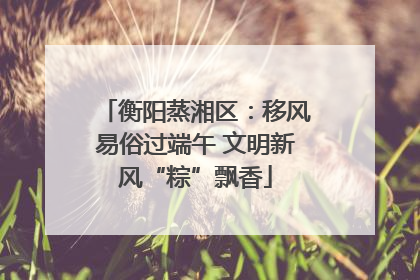 衡阳蒸湘区：移风易俗过端午 文明新风“粽”飘香