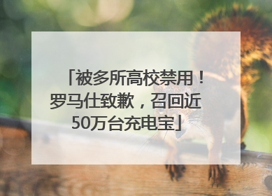 被多所高校禁用！罗马仕致歉，召回近50万台充电宝