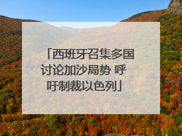 西班牙召集多国讨论加沙局势 呼吁制裁以色列