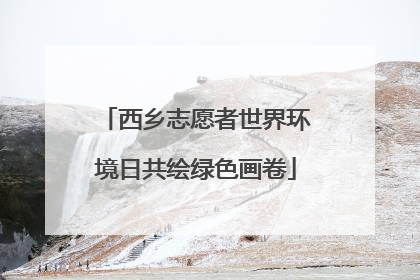 西乡志愿者世界环境日共绘绿色画卷