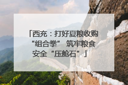 西充：打好夏粮收购“组合拳” 筑牢粮食安全“压舱石”