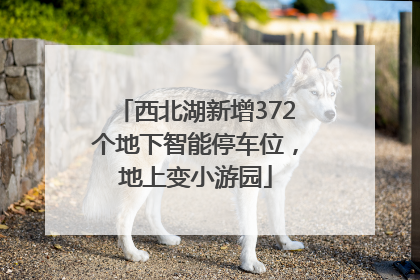 西北湖新增372个地下智能停车位，地上变小游园