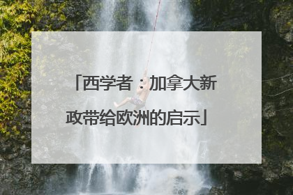 西学者：加拿大新政带给欧洲的启示