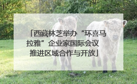 西藏林芝举办“环喜马拉雅”企业家国际会议 推进区域合作与开放