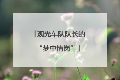 观光车队队长的“梦中情岗”