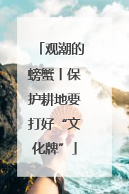 观潮的螃蟹丨保护耕地要打好“文化牌”