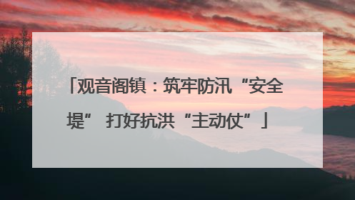 观音阁镇：筑牢防汛“安全堤” 打好抗洪“主动仗”