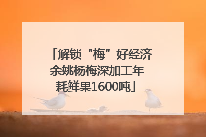 解锁“梅”好经济 余姚杨梅深加工年耗鲜果1600吨