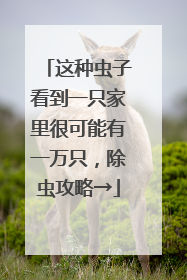 这种虫子看到一只家里很可能有一万只，除虫攻略→
