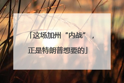 这场加州“内战”，正是特朗普想要的