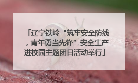 辽宁铁岭“筑牢安全防线，青年勇当先锋”安全生产进校园主题团日活动举行