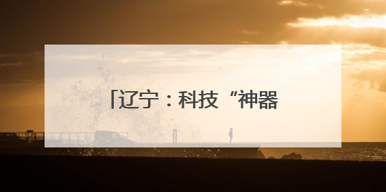 辽宁：科技“神器”为农田夏管护航