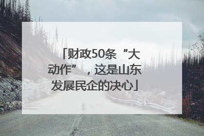 财政50条“大动作”，这是山东发展民企的决心
