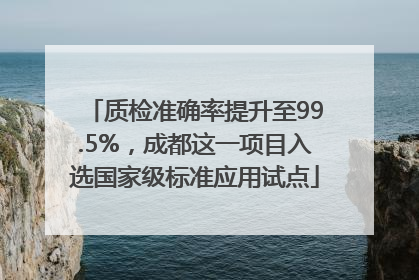 质检准确率提升至99.5%，成都这一项目入选国家级标准应用试点