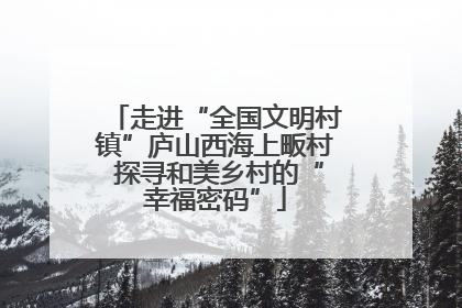走进“全国文明村镇”庐山西海上畈村 探寻和美乡村的“幸福密码”