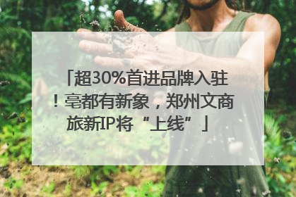 超30%首进品牌入驻！亳都有新象，郑州文商旅新IP将“上线”