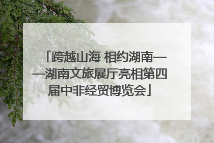跨越山海 相约湖南——湖南文旅展厅亮相第四届中非经贸博览会