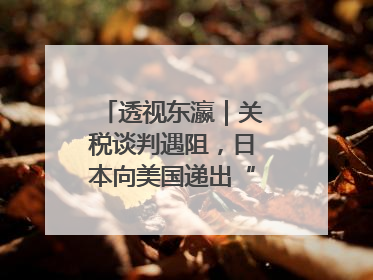 透视东瀛｜关税谈判遇阻，日本向美国递出“投名状”