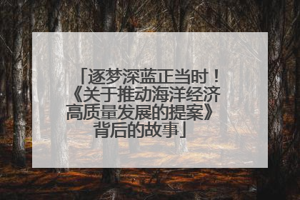 逐梦深蓝正当时！《关于推动海洋经济高质量发展的提案》背后的故事