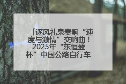 逐风礼泉奏响“速度与激情”交响曲！2025年“东恒盛杯”中国公路自行车联赛第五站（陕西·礼泉站）正式开赛