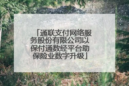 通联支付网络服务股份有限公司以保付通数经平台助保险业数字升级