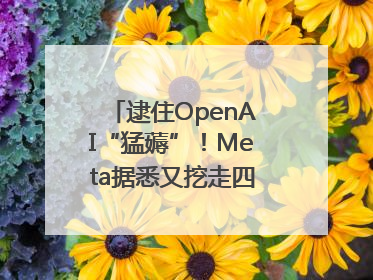 逮住OpenAI“猛薅”！Meta据悉又挖走四位知名研究人员